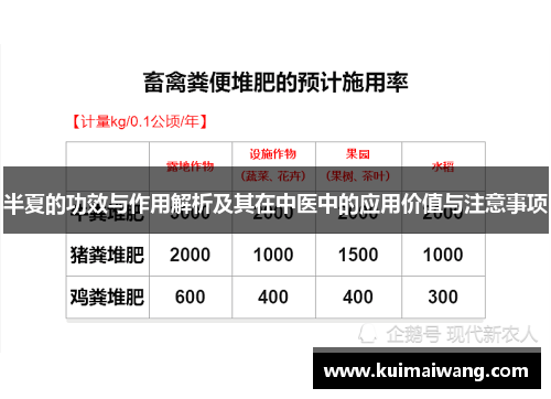 半夏的功效与作用解析及其在中医中的应用价值与注意事项